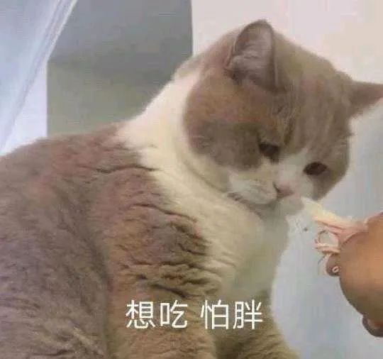 k8凯发官方app下载甜品100个简单的甜品减脂期也能大胆吃适合打工人缓解焦虑的