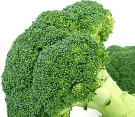 凯发K8国际首页十大最养胃的食物健康的食物最健康的主食它的花芽含强效天然药 不但