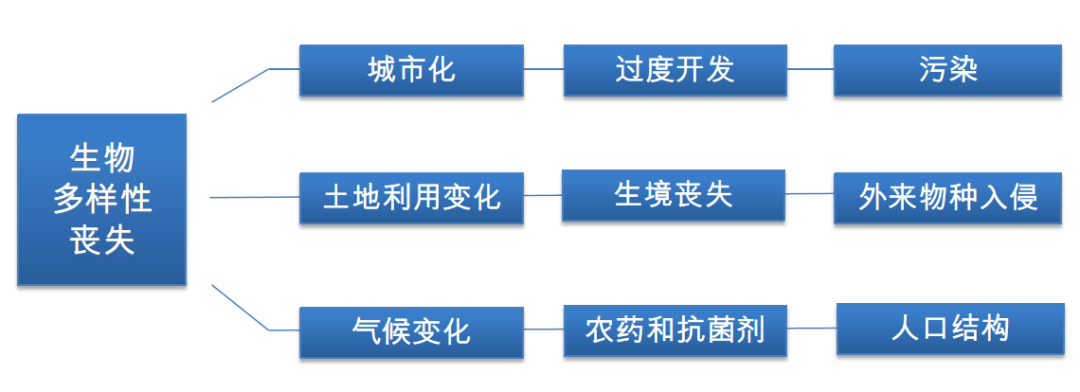 凯发k8国际健康的食物健康的食物英文翻译生物多样性和健康丨ESG观点