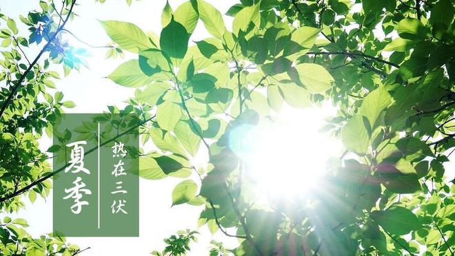 k8凯发官网,三伏临近不要太节俭记得多吃5种食物别舍不得健康过夏天