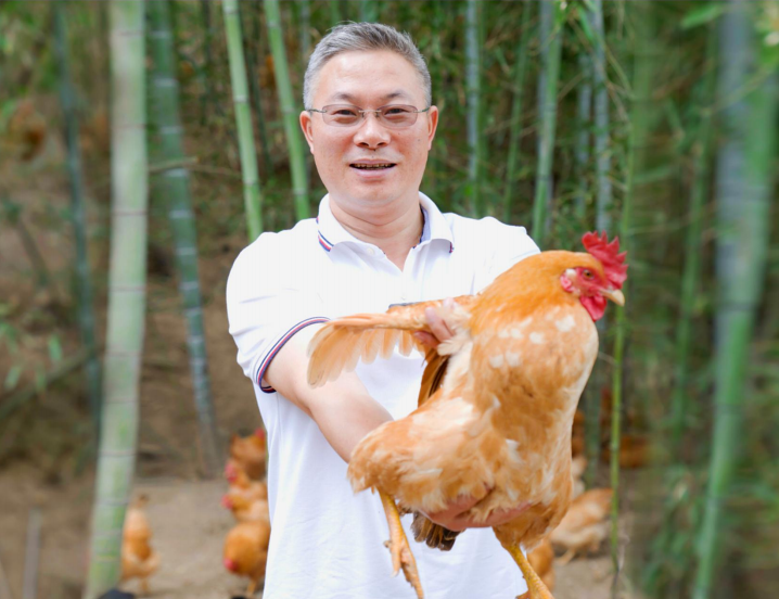 k8凯发,杨博士土鸡:从深山到餐桌打造舌尖上的健康盛宴